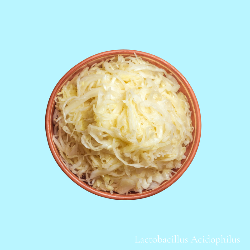 Lactobacillus Acidophilus